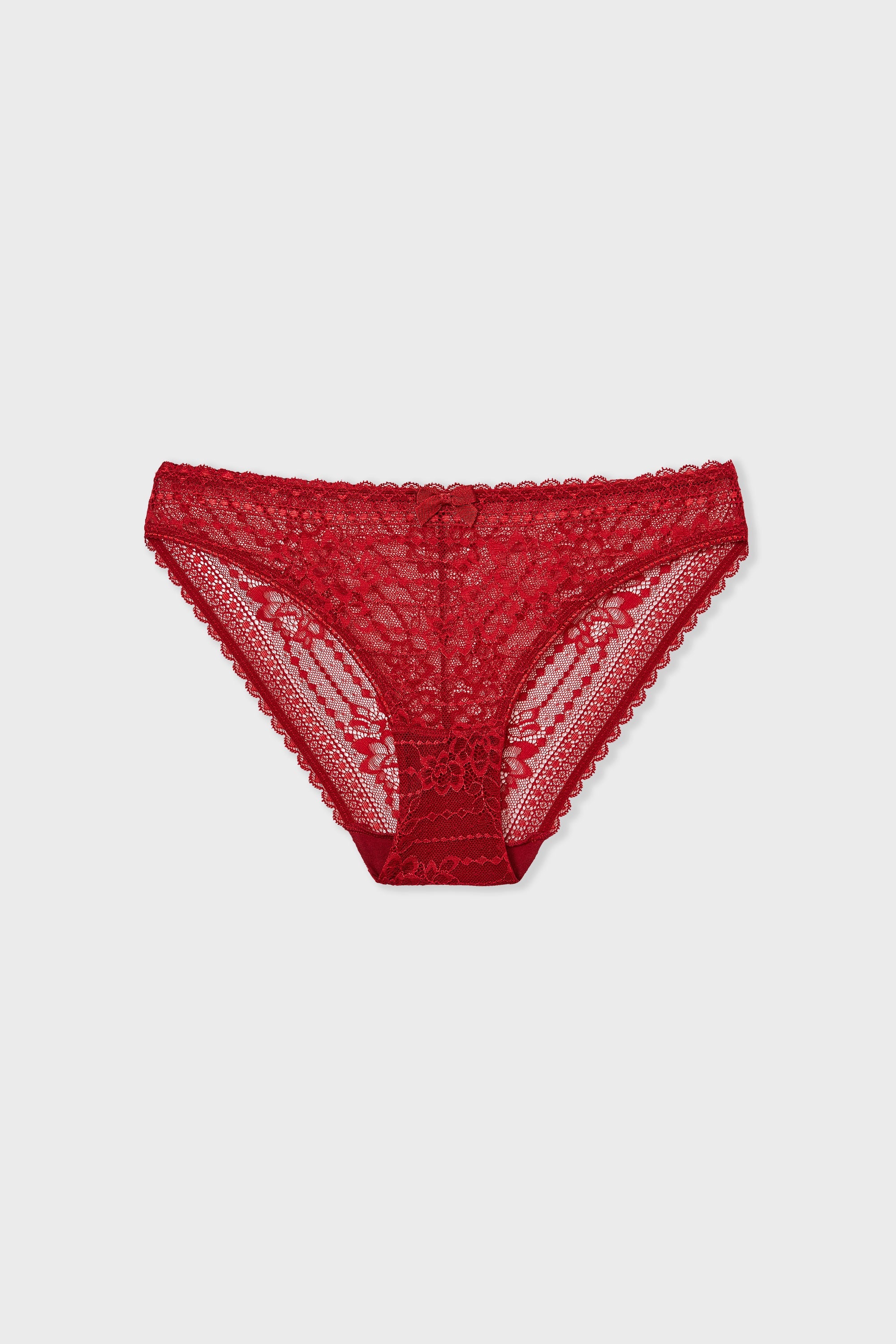 Iridescent Lace Brief