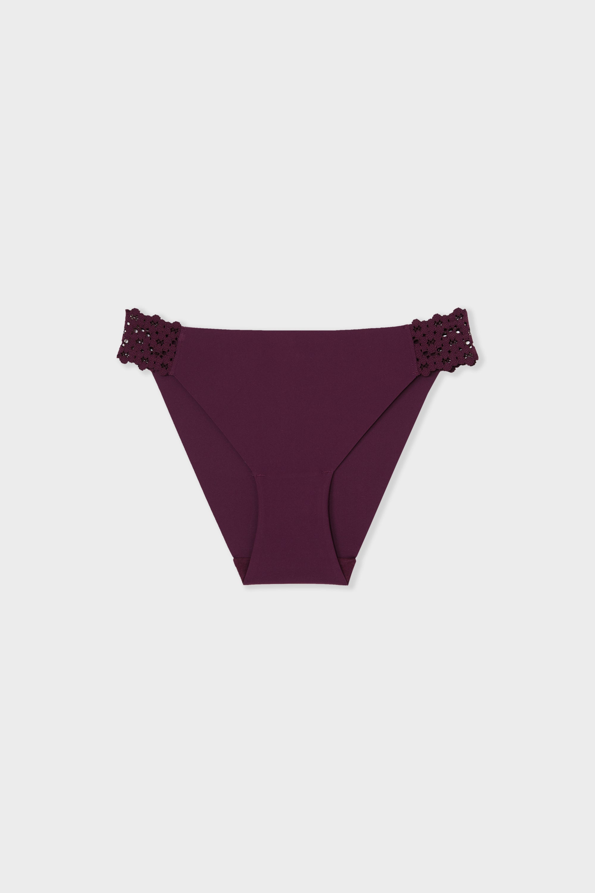 Microfibre and Lace Briefs