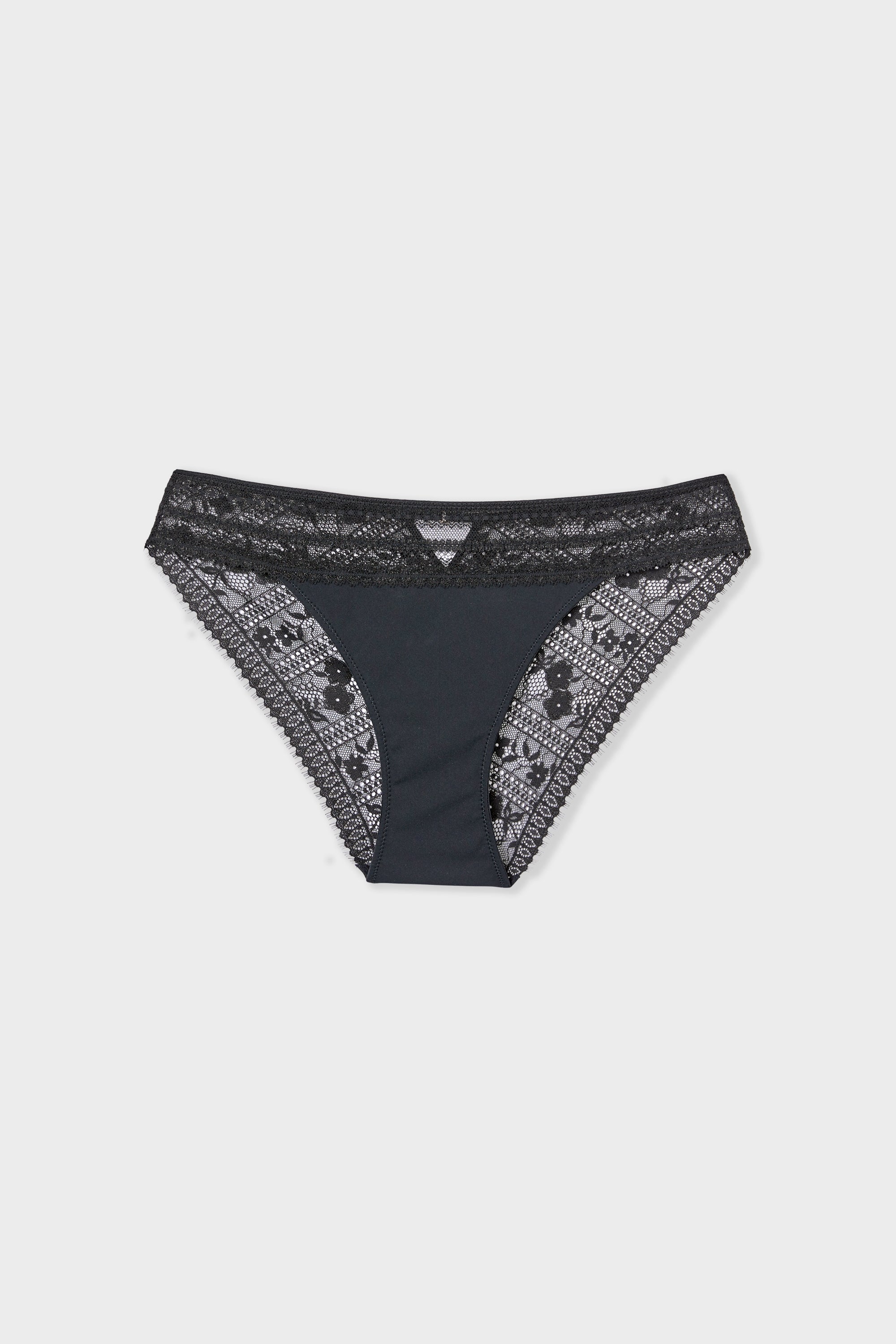Lace and Microfiber Brief