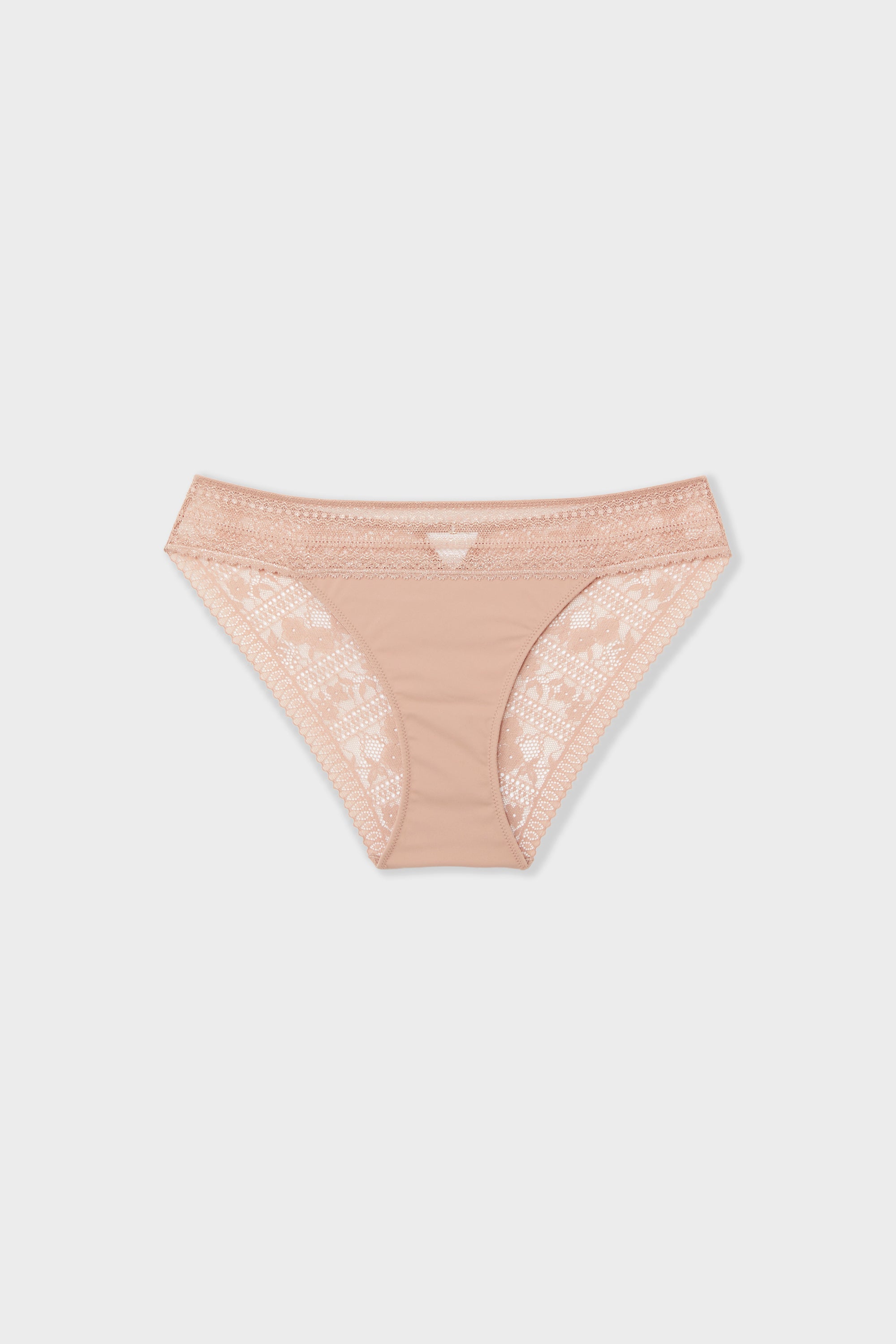 Lace and Microfibre Briefs