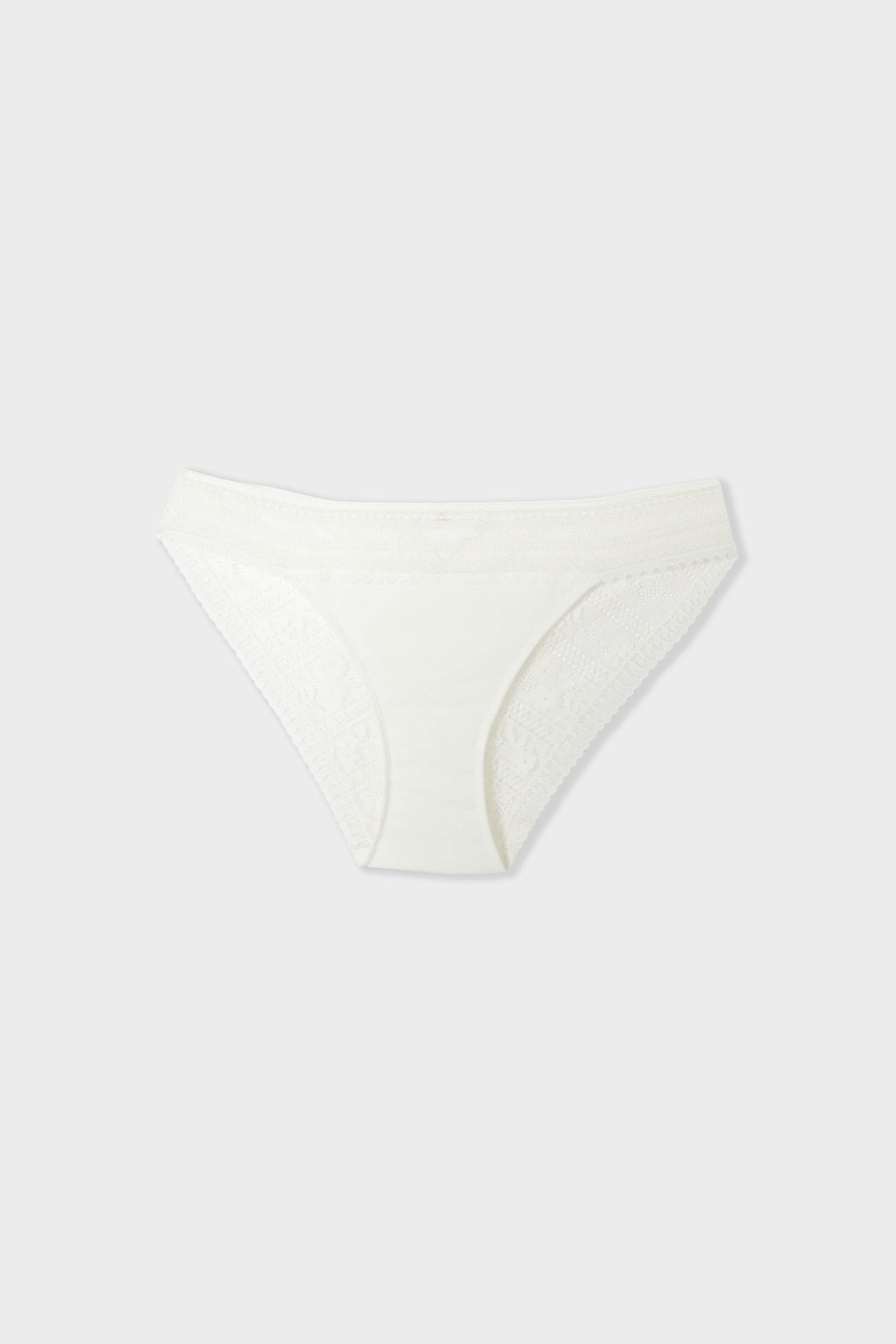Lace and Microfibre Briefs